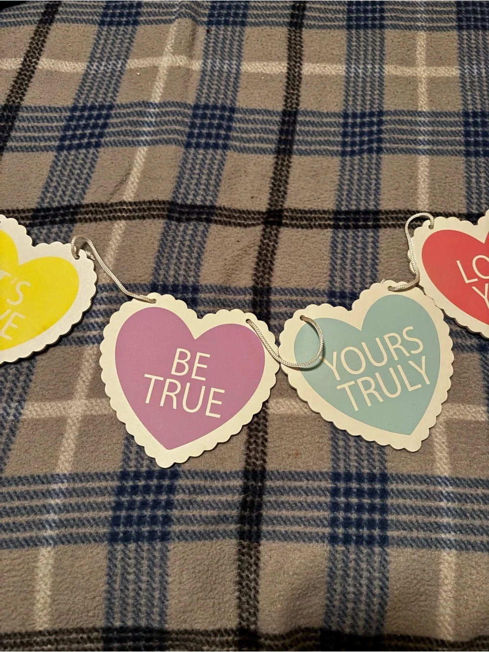 Party Heart Message Banner Garland - Pastel Multi-Color